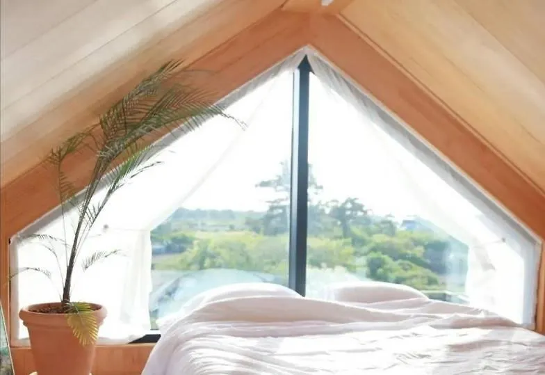 Jaeju Stay Oneul Jeju Guest house